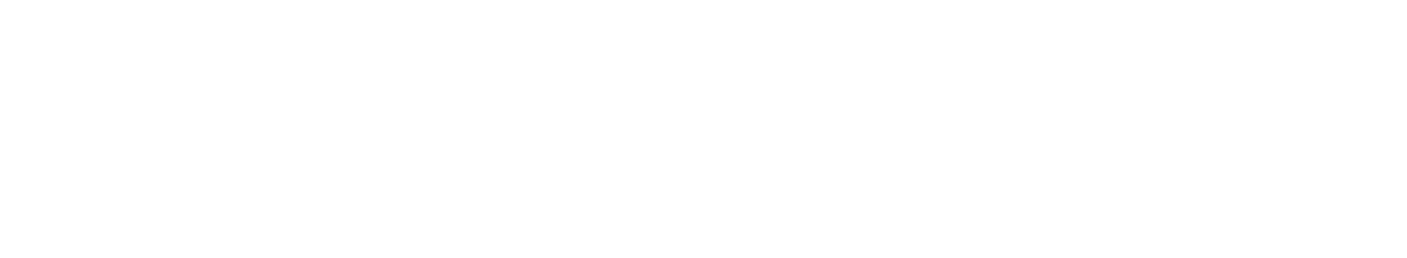 Flossback von Storch Logo